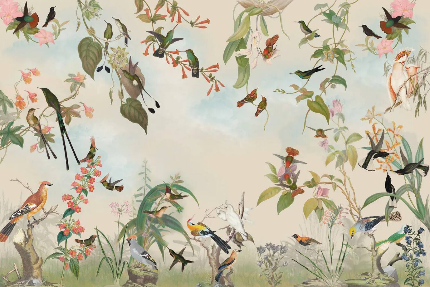 Green Cream Kids Room Wallpaper Peel And Stick Colorful Bird Wall Mural For Child And Baby Vintage Botanical Floral Removable Paper